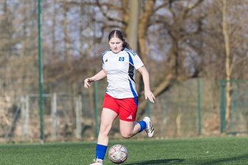 Bild 258 - F Hamburger SV 3 - Blau-Weiss 96 : Ergebnis: 5:1